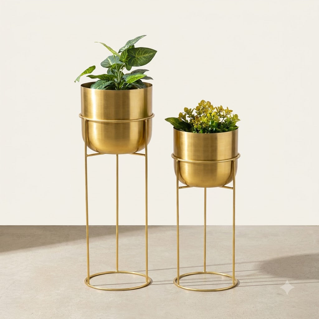 Plants & Planters